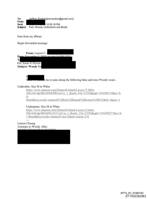 Preview of EFTA02262961