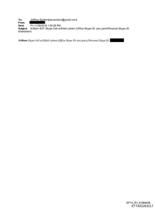 Preview of EFTA02263217