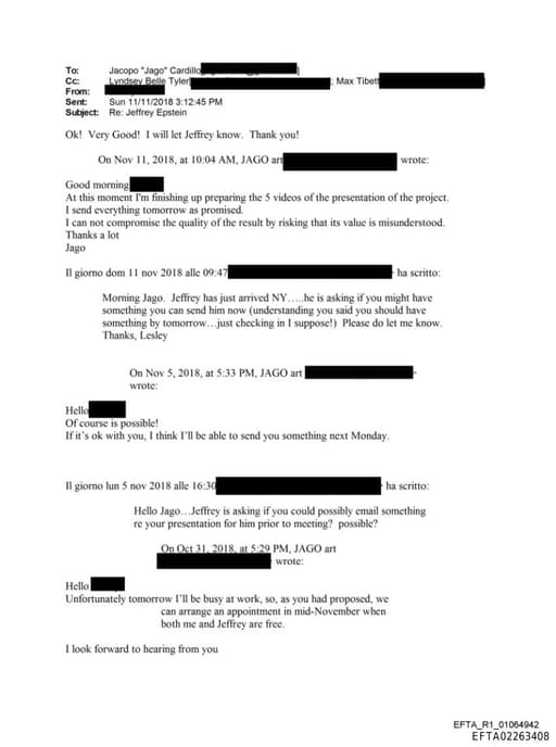 Preview of EFTA02263408