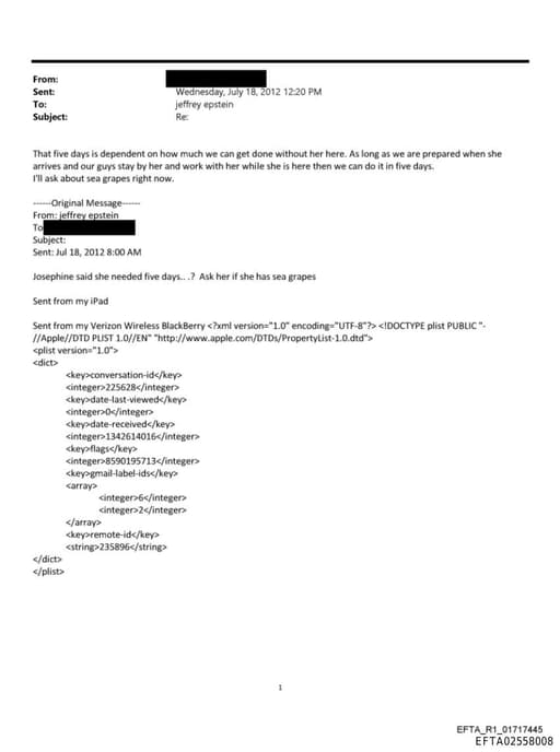 Preview of EFTA02558008