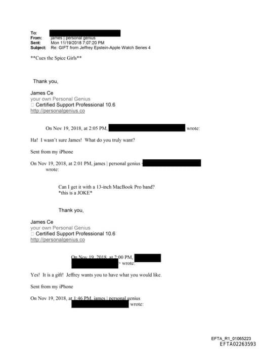 Preview of EFTA02263593