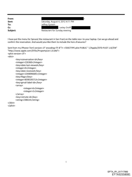 Preview of EFTA02558081