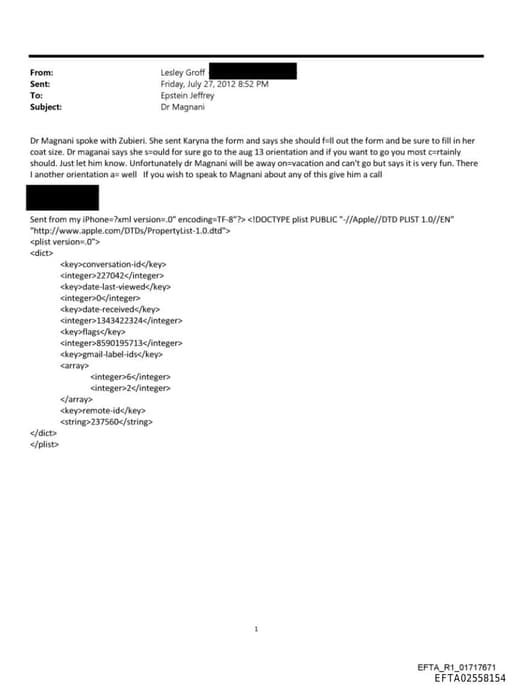 Preview of EFTA02558154