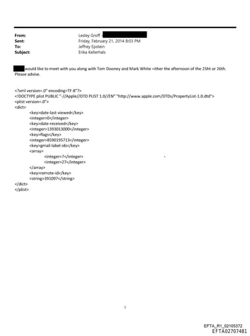 Preview of EFTA02707481