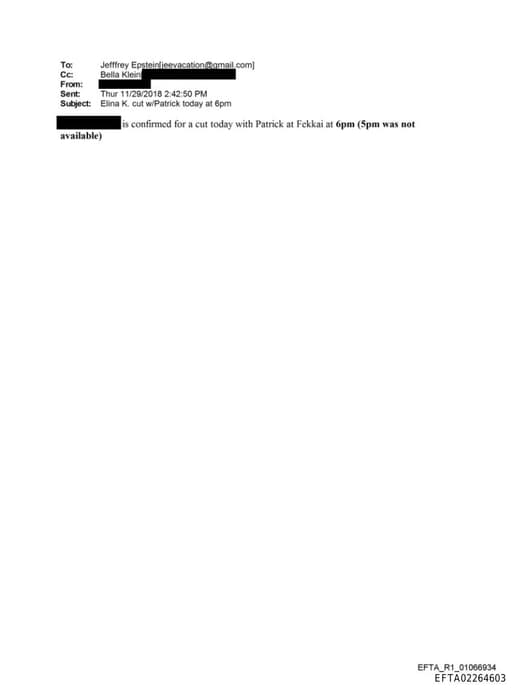 Preview of EFTA02264603