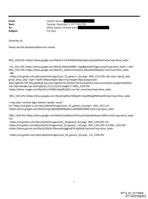 Preview of EFTA02558352