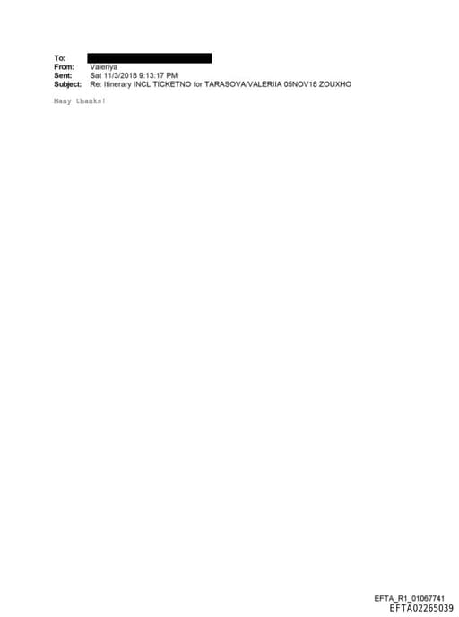 Preview of EFTA02265039