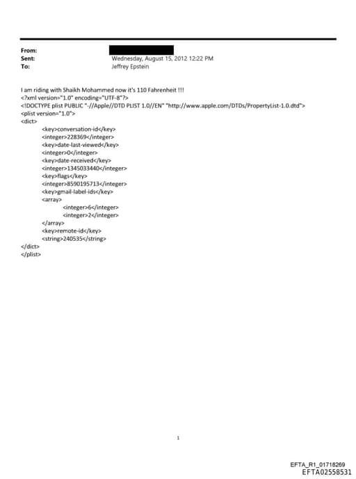 Preview of EFTA02558531