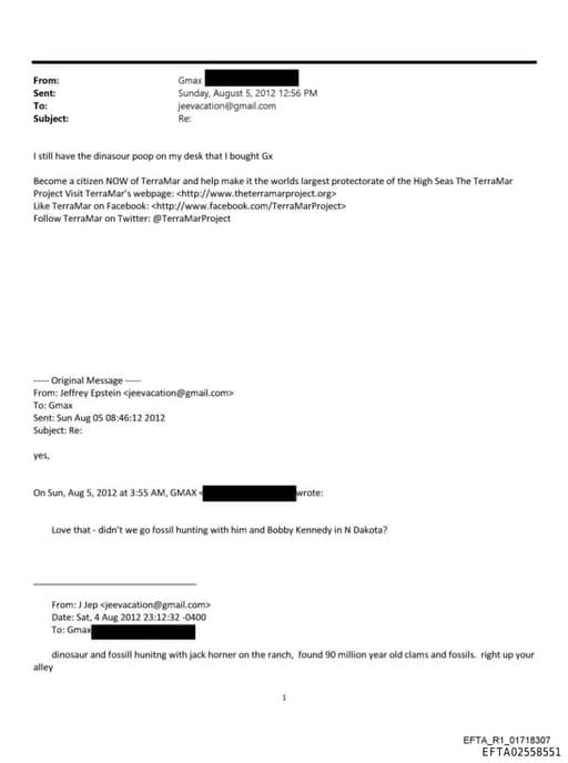 Preview of EFTA02558551