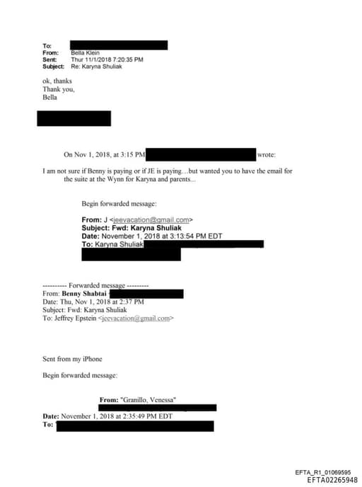 Preview of EFTA02265948