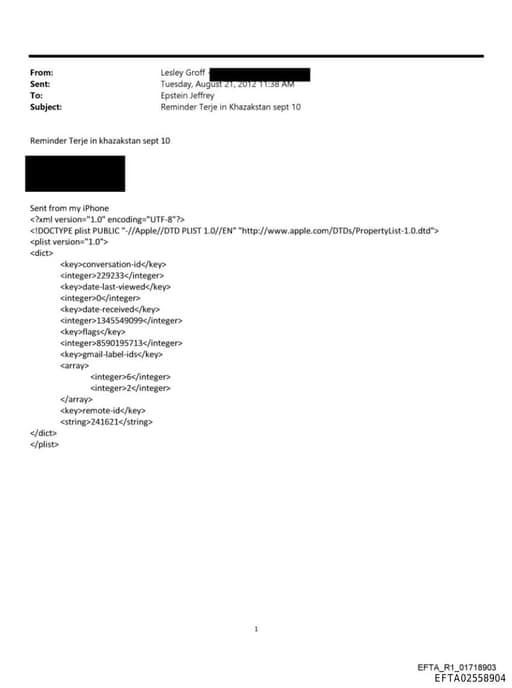 Preview of EFTA02558904