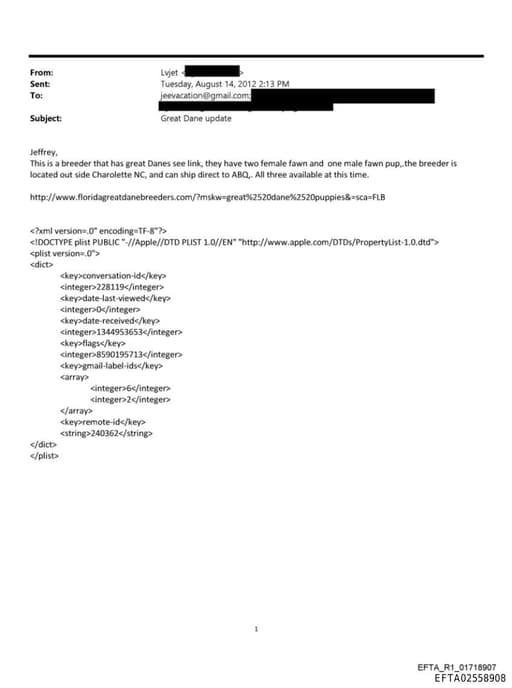 Preview of EFTA02558908