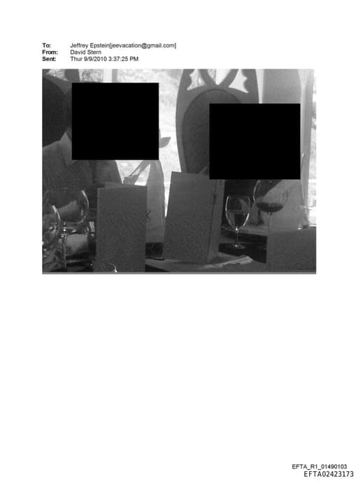 Preview of EFTA02423173