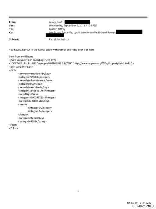 Preview of EFTA02559083