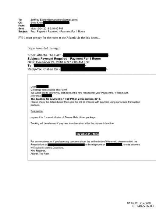 Preview of EFTA02266343