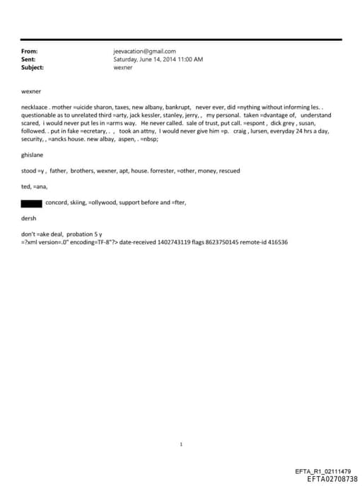 Preview of EFTA02708738