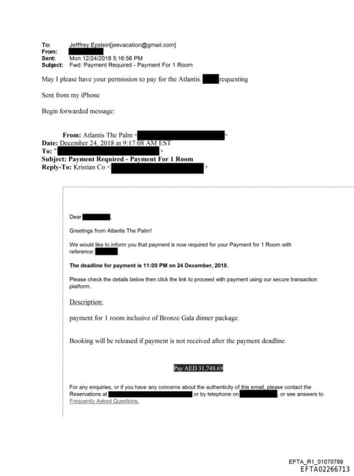 Preview of EFTA02266713