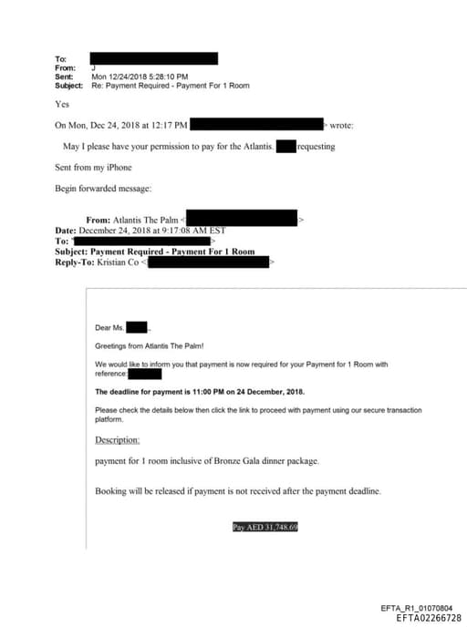 Preview of EFTA02266728