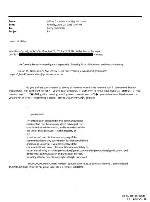 Preview of EFTA02559343