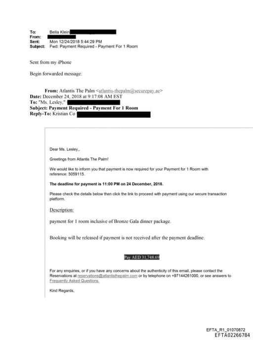 Preview of EFTA02266784