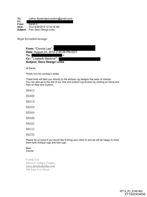 Preview of EFTA02424056