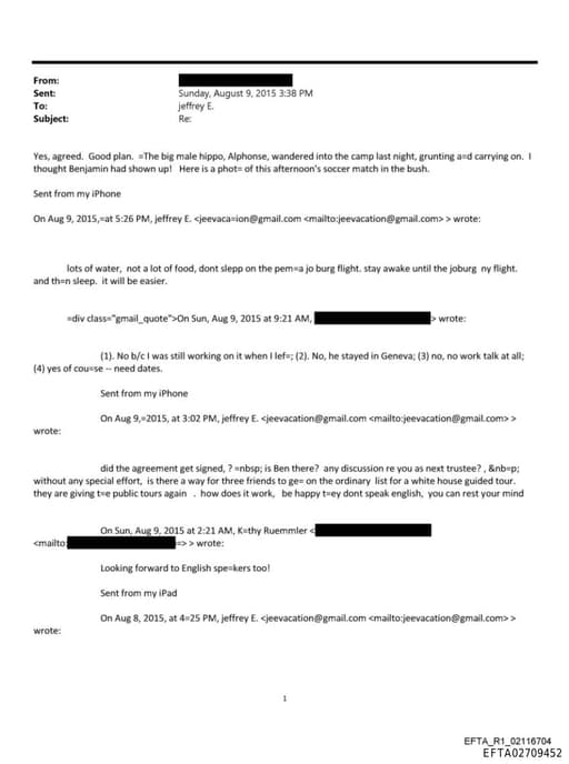 Preview of EFTA02709452