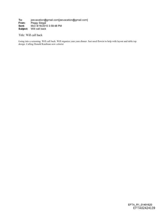 Preview of EFTA02424139