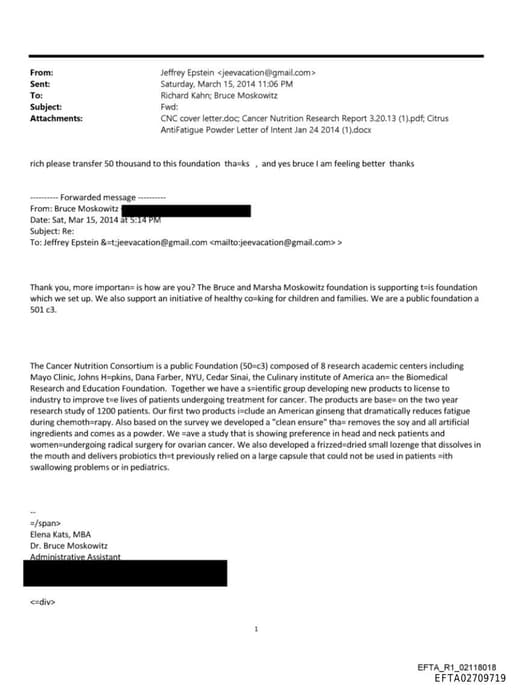 Preview of EFTA02709719