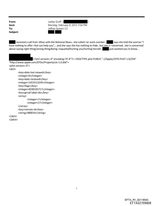 Preview of EFTA02709808