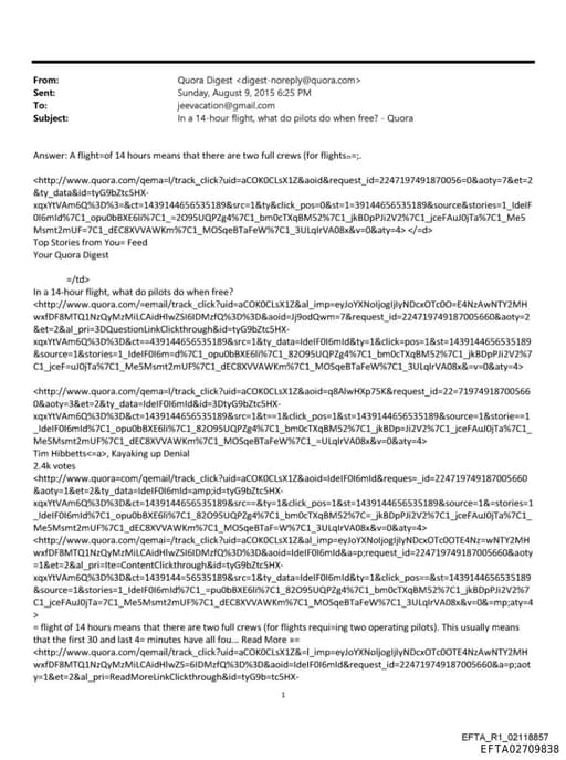 Preview of EFTA02709838