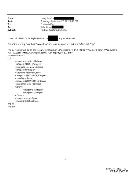 Preview of EFTA02560232