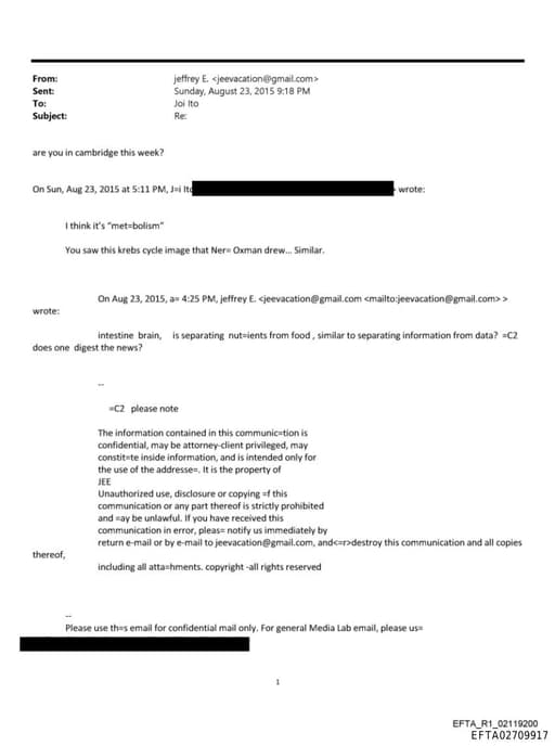 Preview of EFTA02709917