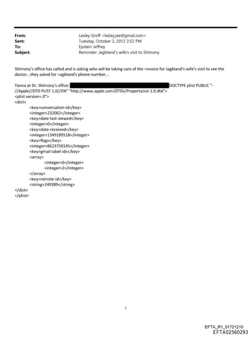 Preview of EFTA02560293