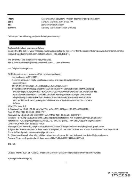 Preview of EFTA02710028