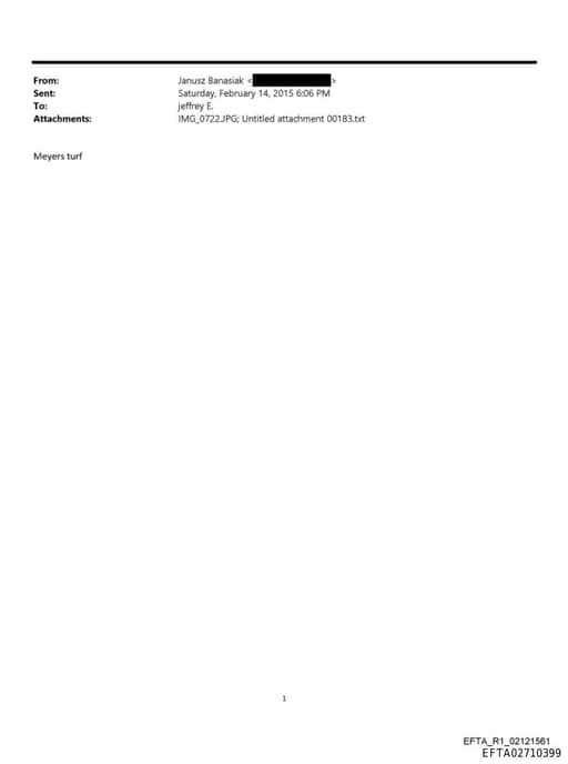 Preview of EFTA02710399