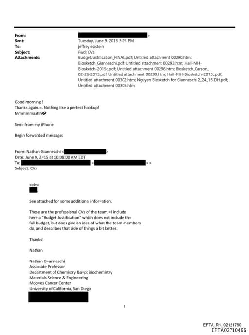 Preview of EFTA02710466