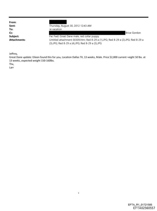 Preview of EFTA02560557