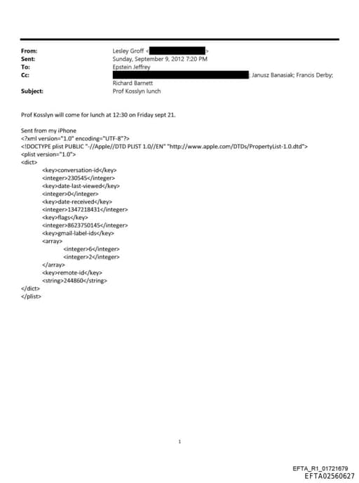 Preview of EFTA02560627