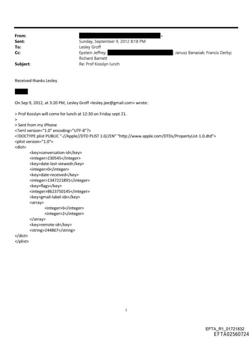 Preview of EFTA02560724