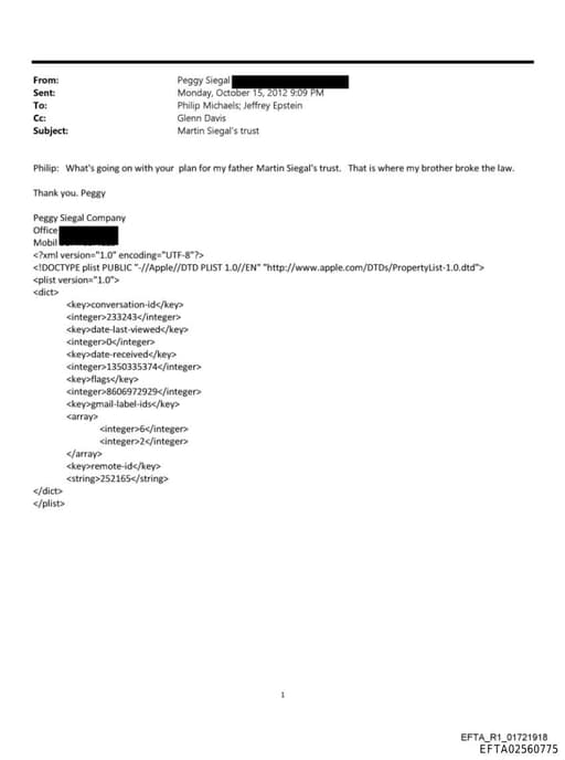 Preview of EFTA02560775