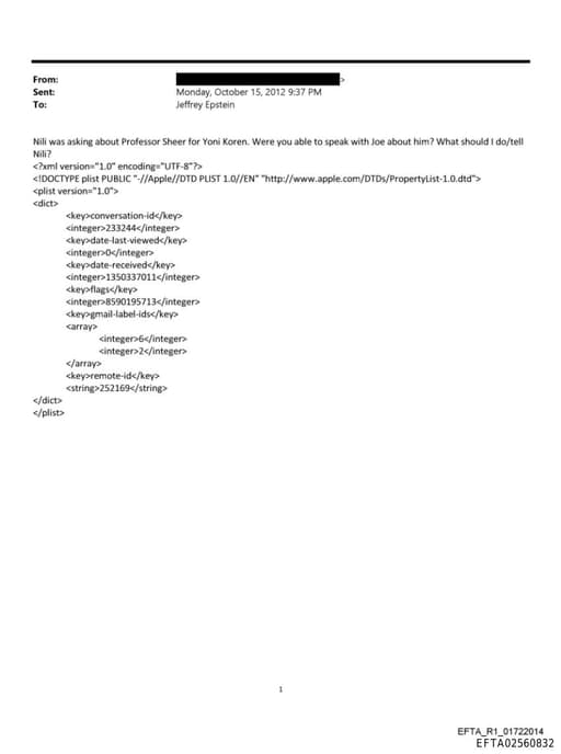 Preview of EFTA02560832