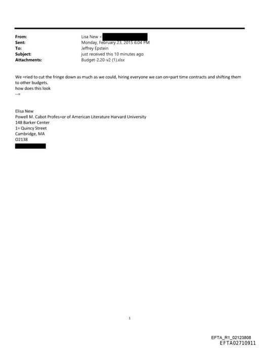 Preview of EFTA02710911