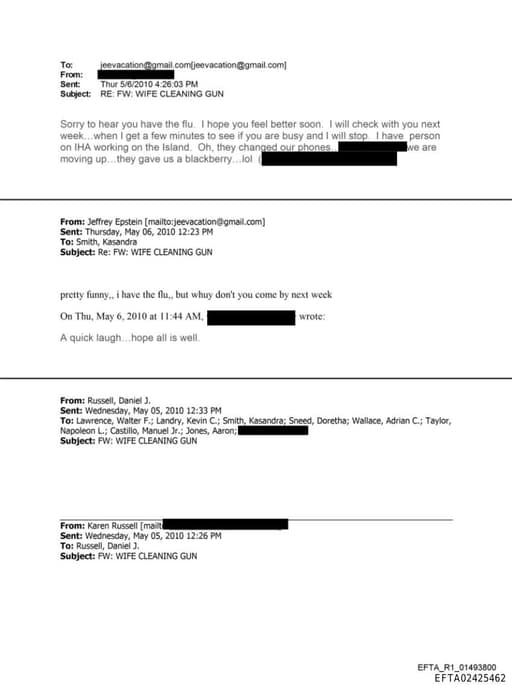 Preview of EFTA02425462