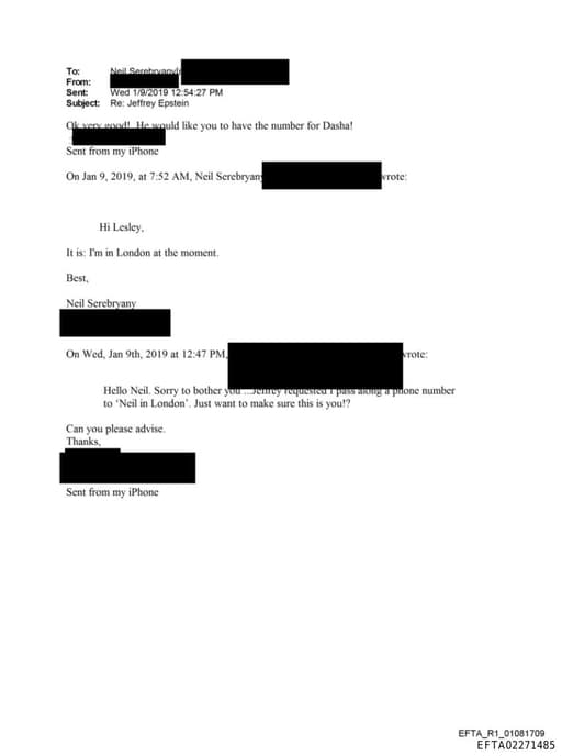 Preview of EFTA02271485