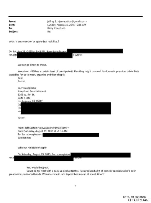 Preview of EFTA02711468