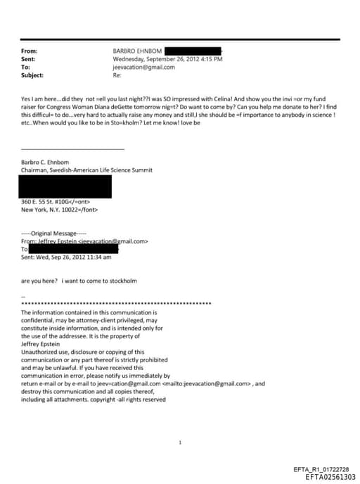 Preview of EFTA02561303