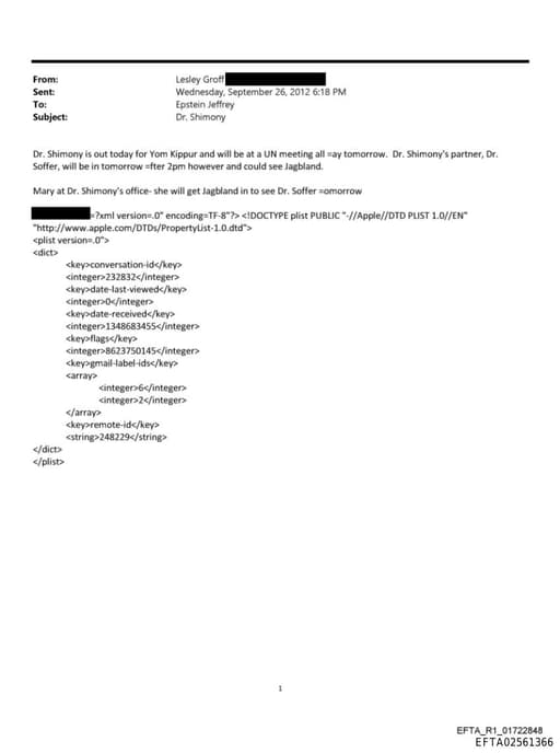 Preview of EFTA02561366