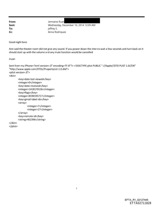 Preview of EFTA02711828