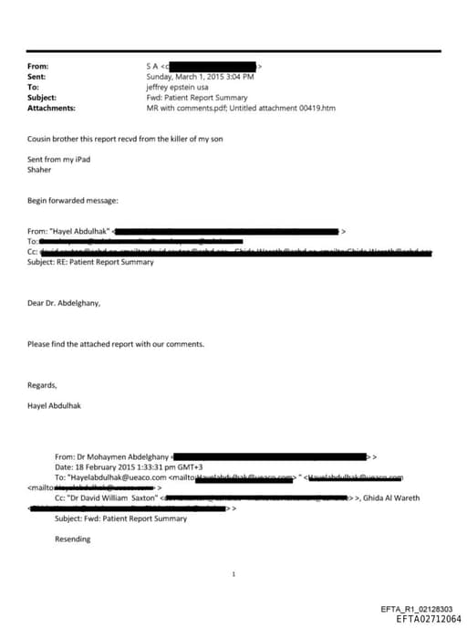 Preview of EFTA02712064