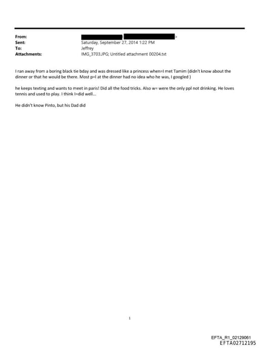 Preview of EFTA02712195